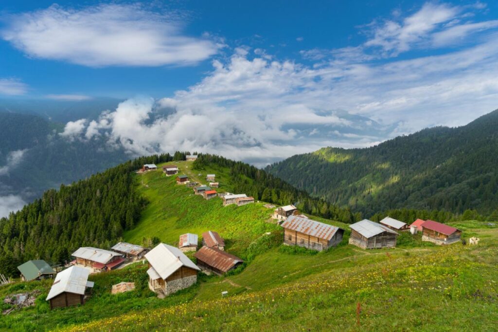 Karadeniz Yaylaları Doğa Turları İlgi Görüyor